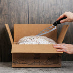Mushroom Grow Kits - by Bridgetown Mushrooms