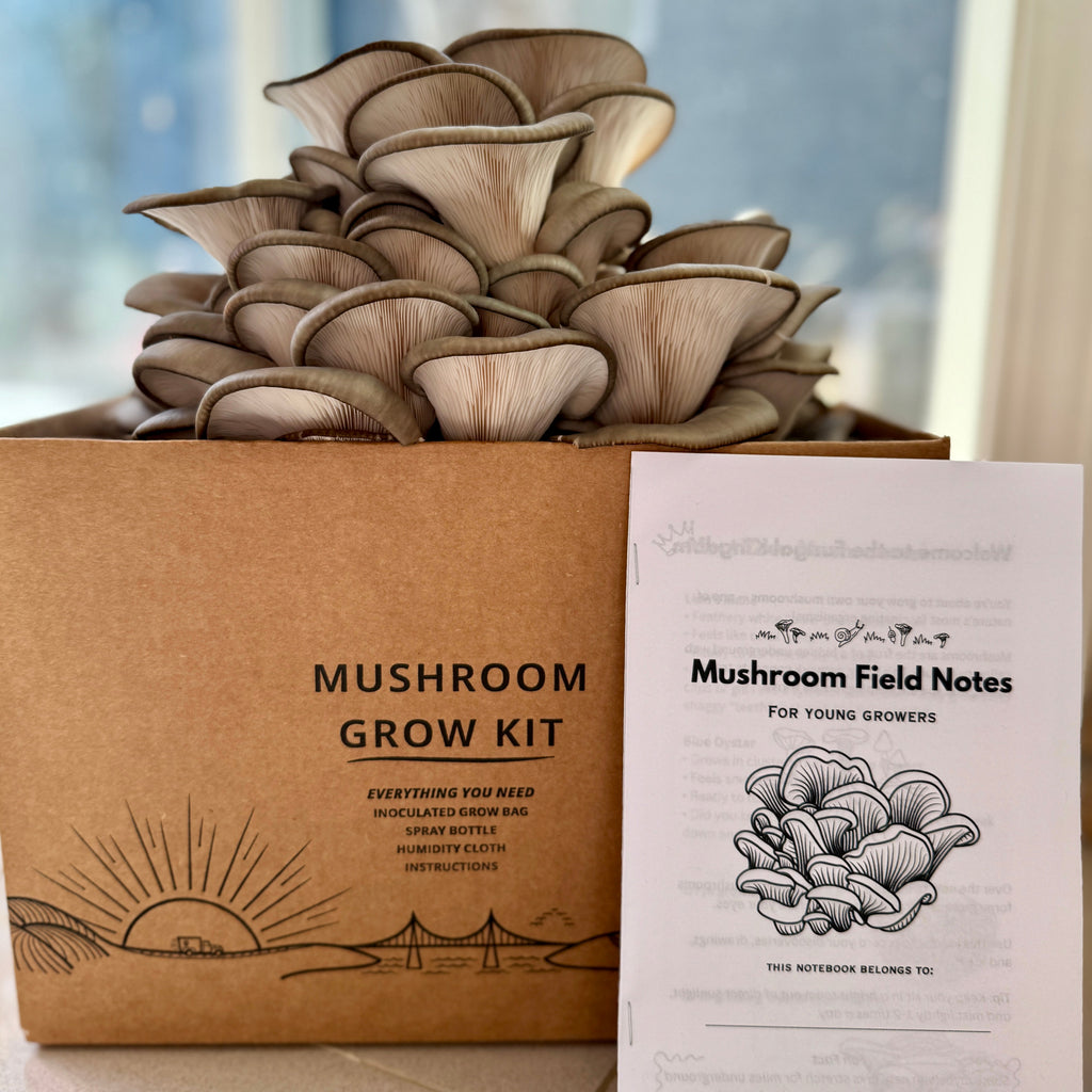 Mushroom Grow Kits - by Bridgetown Mushrooms